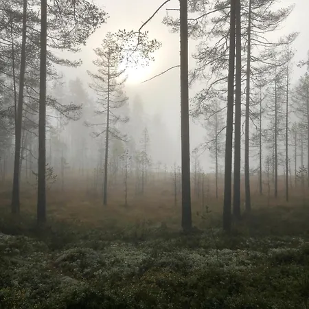 Apartment Joutiaisentie H 44 Sunset *