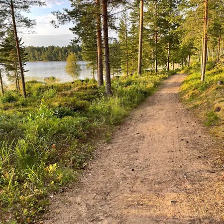 Joutiaisentie H 44 Sunset Lägenhet Joutsa