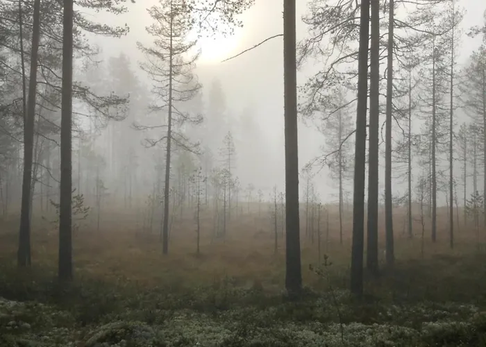 Appartement Joutiaisentie H 44 Sunset *